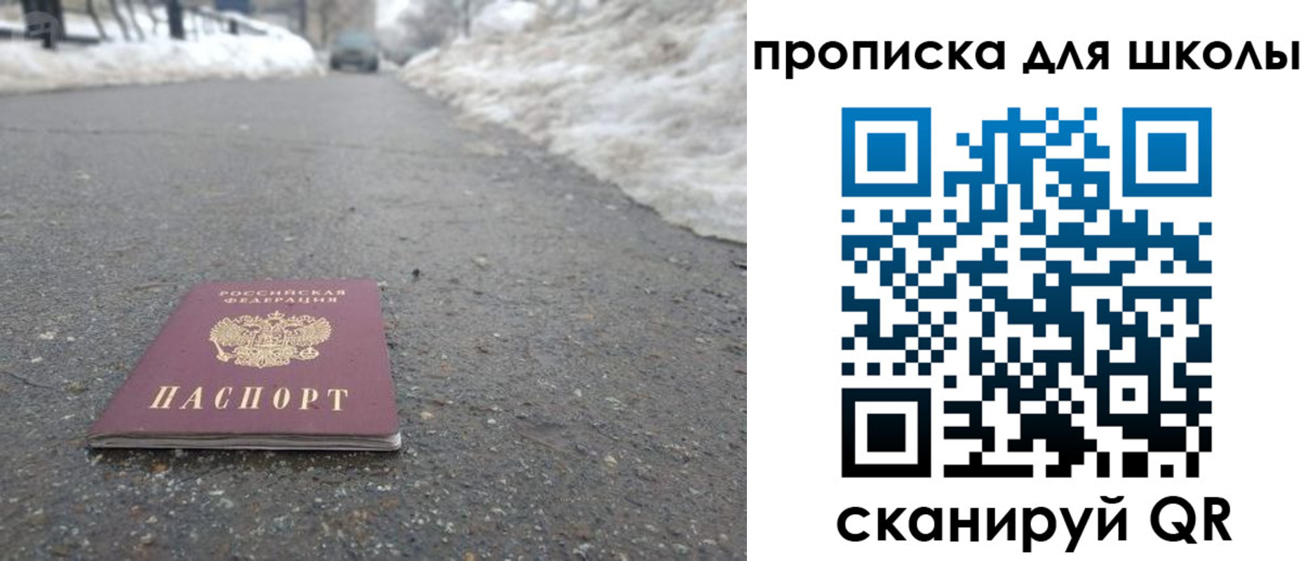 прописка для школы в Сельцо